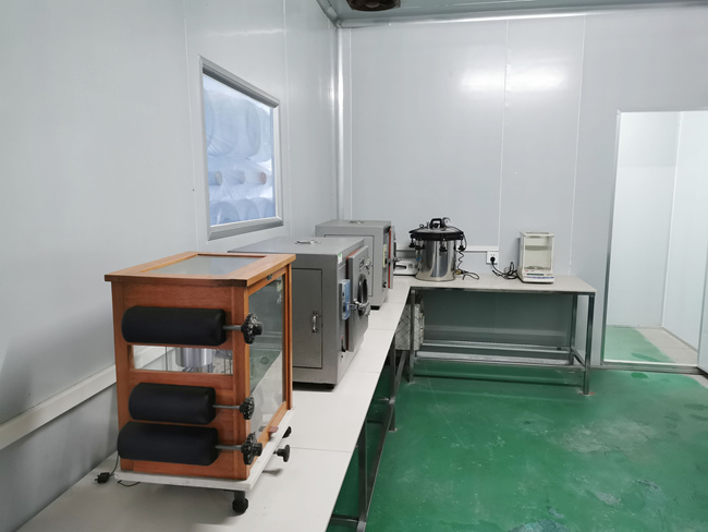 ���ʵ����